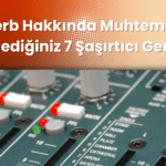 Reverb Hakkinda Muhtemelen Bilmediginiz 7 Sasirtici Gercek Reverb Hakkinda Muhtemelen Bilmediginiz 7 Sasirtici Gercek